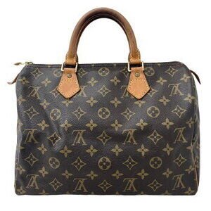Louis Vuitton Monogram Speedy Handbag